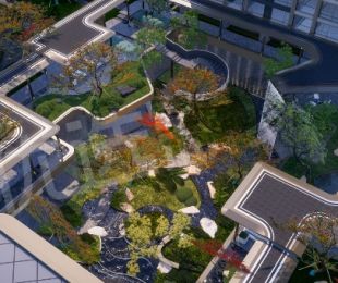 效果图