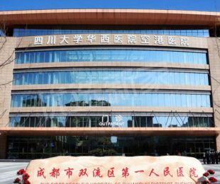 效果图