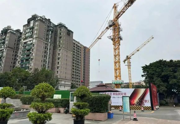 神仙树9号院