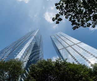 实景图