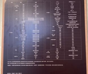 样板图