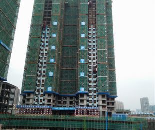 实景图