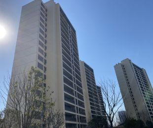 样板图