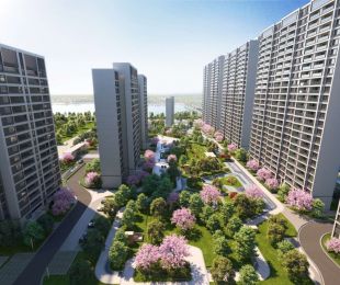 效果图