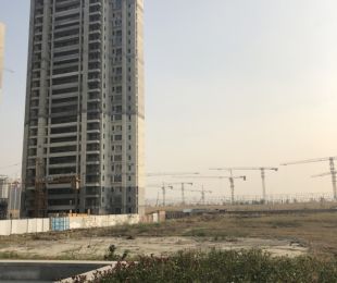 样板图