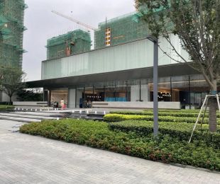 实景图