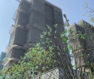 实景图