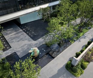 实景图