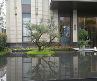 实景图