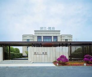 样板图