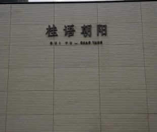 实景图