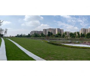 实景图
