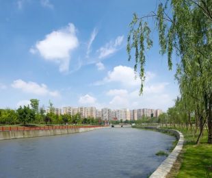 实景图