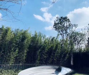 样板图