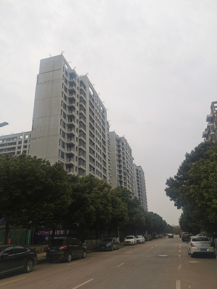 实景图