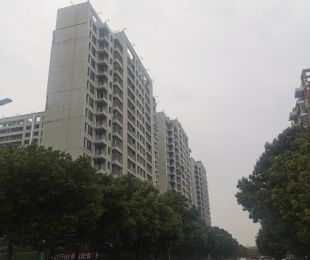 实景图
