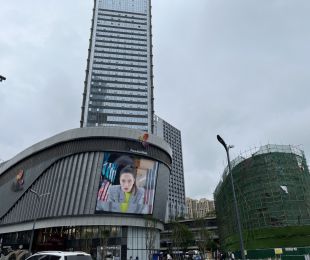 实景图