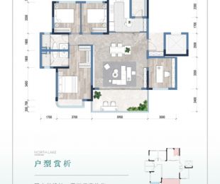 样板图