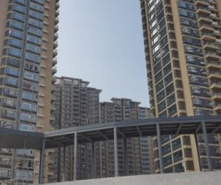 实景图