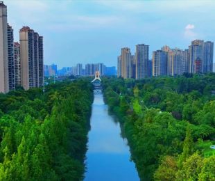 实景图