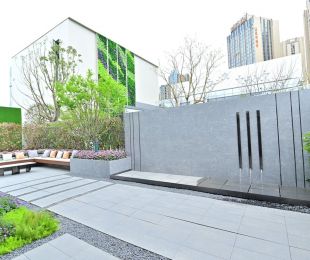 样板图