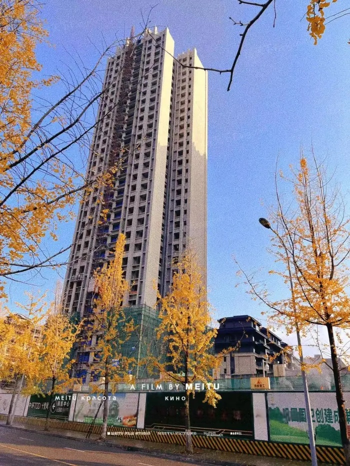 实景图