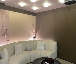 样板图