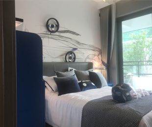 样板图