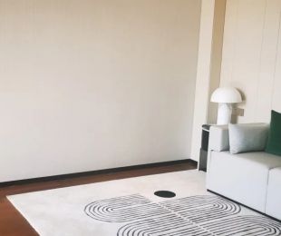 样板图