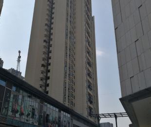 样板图