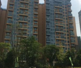 实景图
