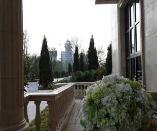 实景图