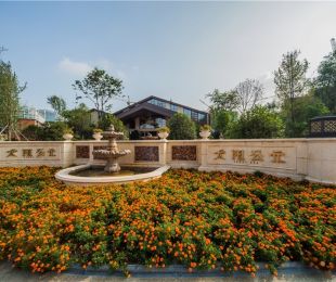 实景图