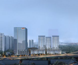 效果图