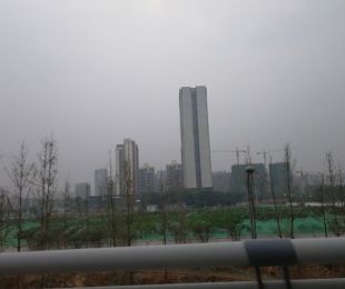 实景图