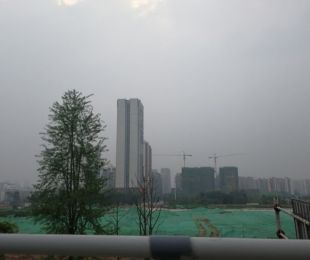 实景图