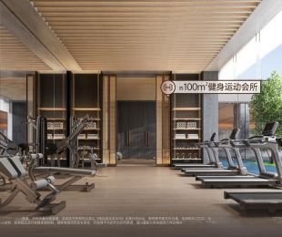 效果图