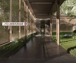 效果图