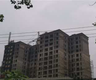 实景图