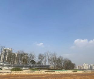 样板图