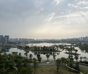 实景图