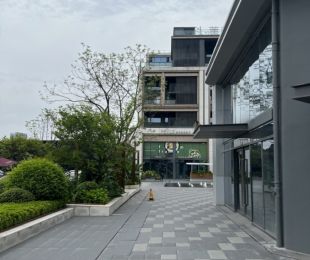实景图