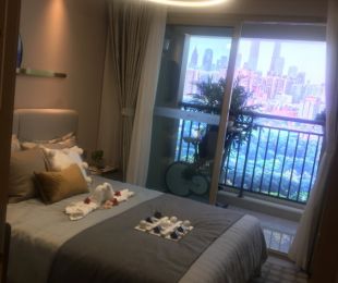 样板图