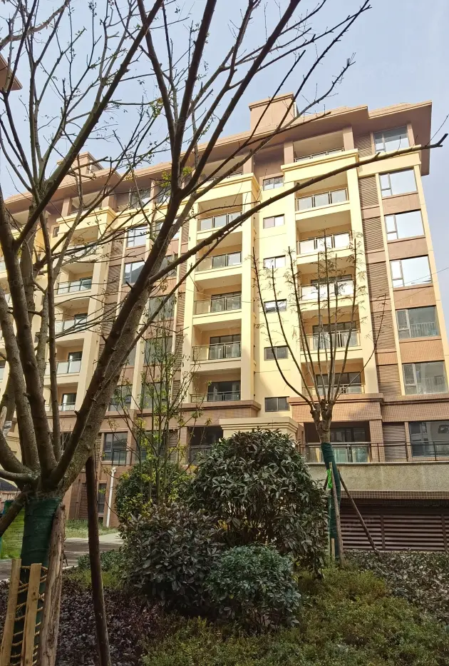 样板图