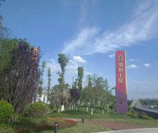 样板图