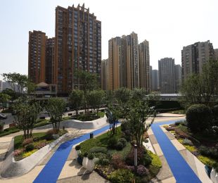 实景图