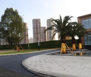 实景图