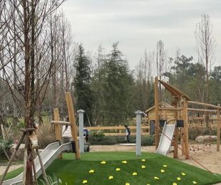 实景图