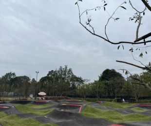 样板图