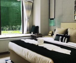 样板图